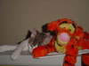 With Tigger!